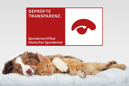Erneut Zertifikat für den Tierschutzbund (iadobestock.com © Dana Bartl)
