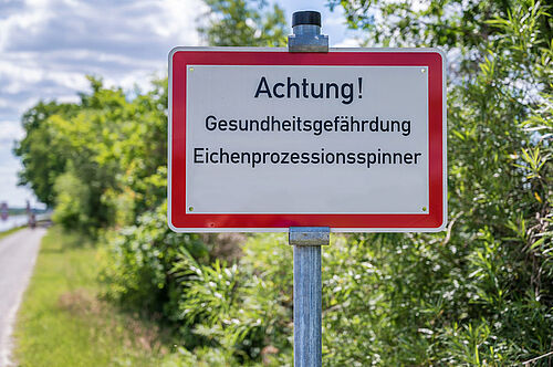 Achtung Gefahr: Eichenprozessionsspinner (istockphoto.com © Ralf Geithe)