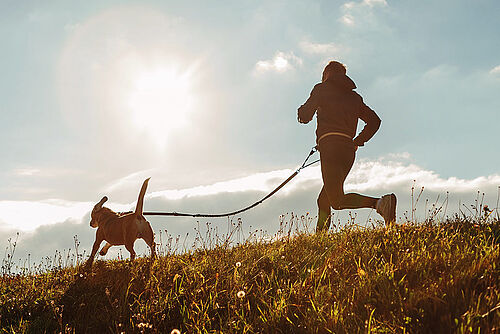 Canicross mit Hund (istockphoto.com / © Solovyova)
